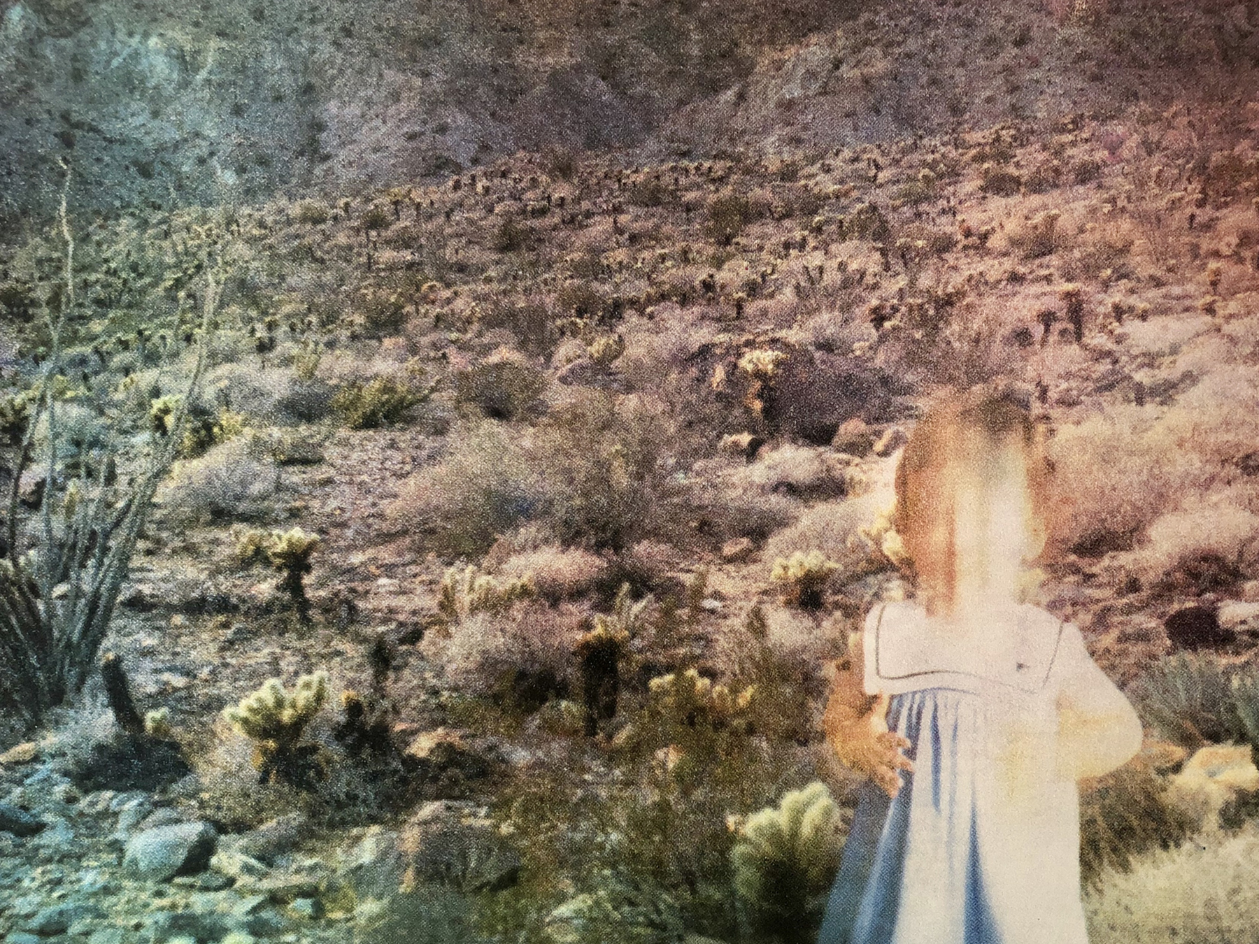 modern screenprint of toddler in dry landscape